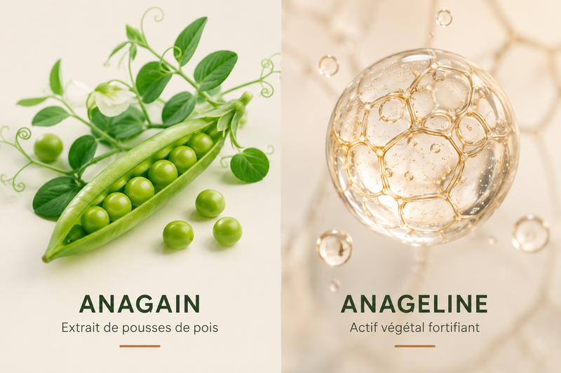 Anagain & Anageline